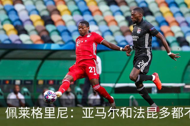 佩莱格里尼：亚马尔和法昆多都不该这么做，但没人应该被罚下