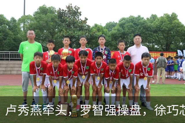 卢秀燕牵头，罗智强操盘，徐巧芯执行，蒋万安组建国民党最强战队