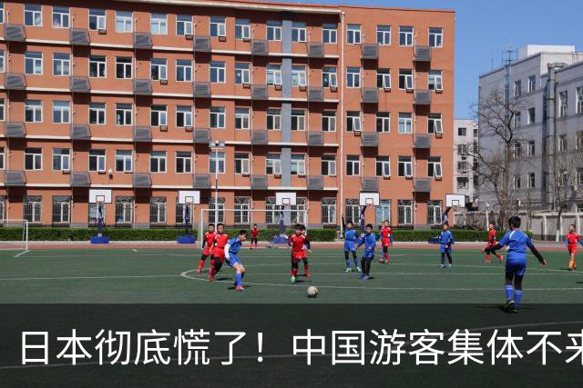 日本彻底慌了！中国游客集体不来，不是没钱，是不值了