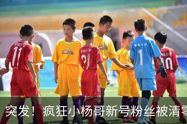 突发！疯狂小杨哥新号粉丝被清零!